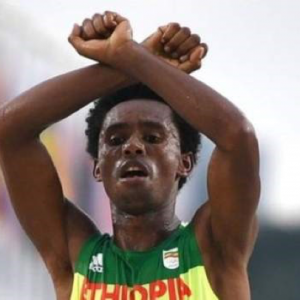 Feyisa